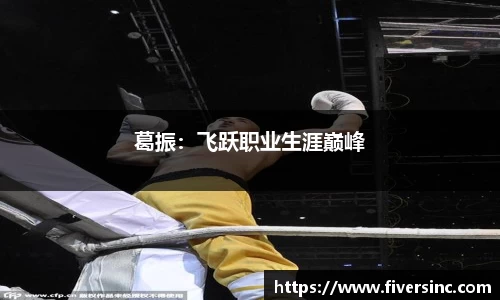 葛振：飞跃职业生涯巅峰